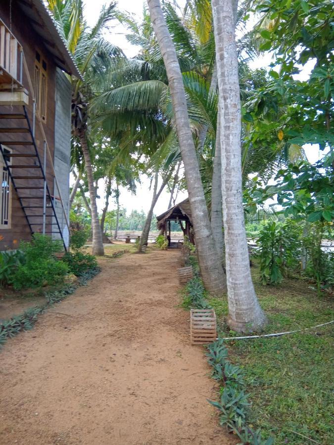 蒂瑟默哈拉默 Coconut Island Yala酒店 外观 照片